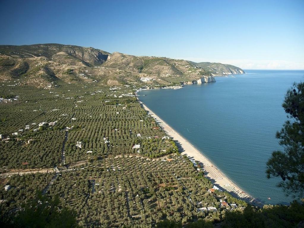 Hotel Alba Del Gargano Mattinata Eksteriør bilde
